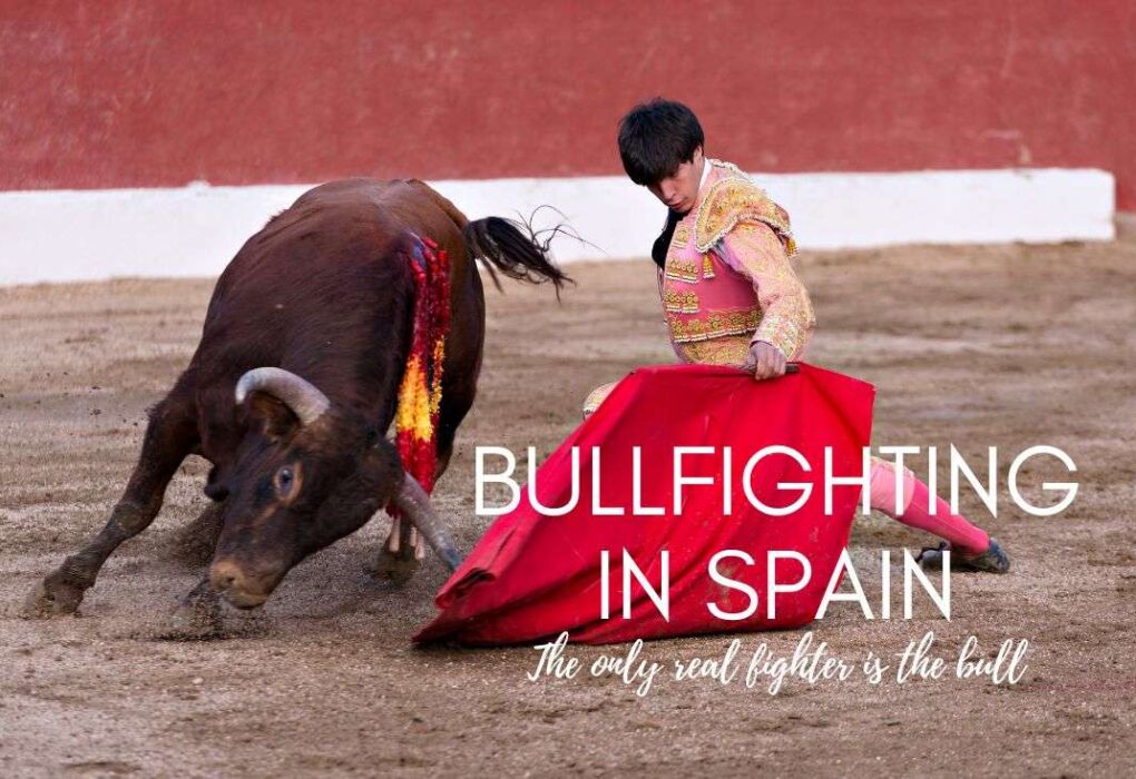 Bullfighting in Spain: Tradition, Culture & Spectacle