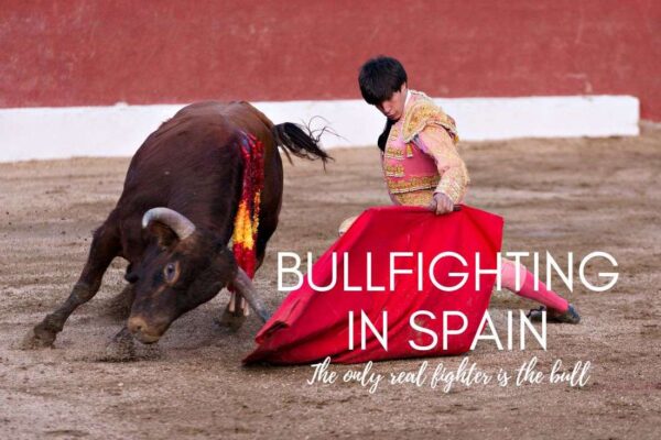 Bullfighting in Spain: Tradition, Culture & Spectacle