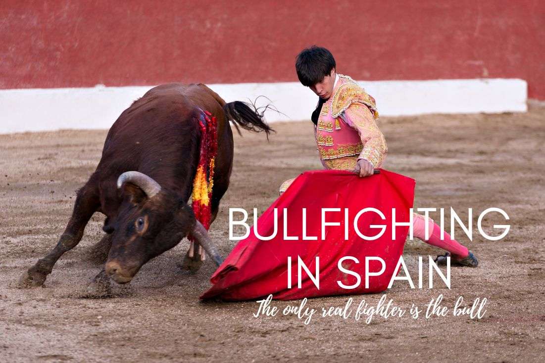 Bullfighting in Spain: Tradition, Culture & Spectacle