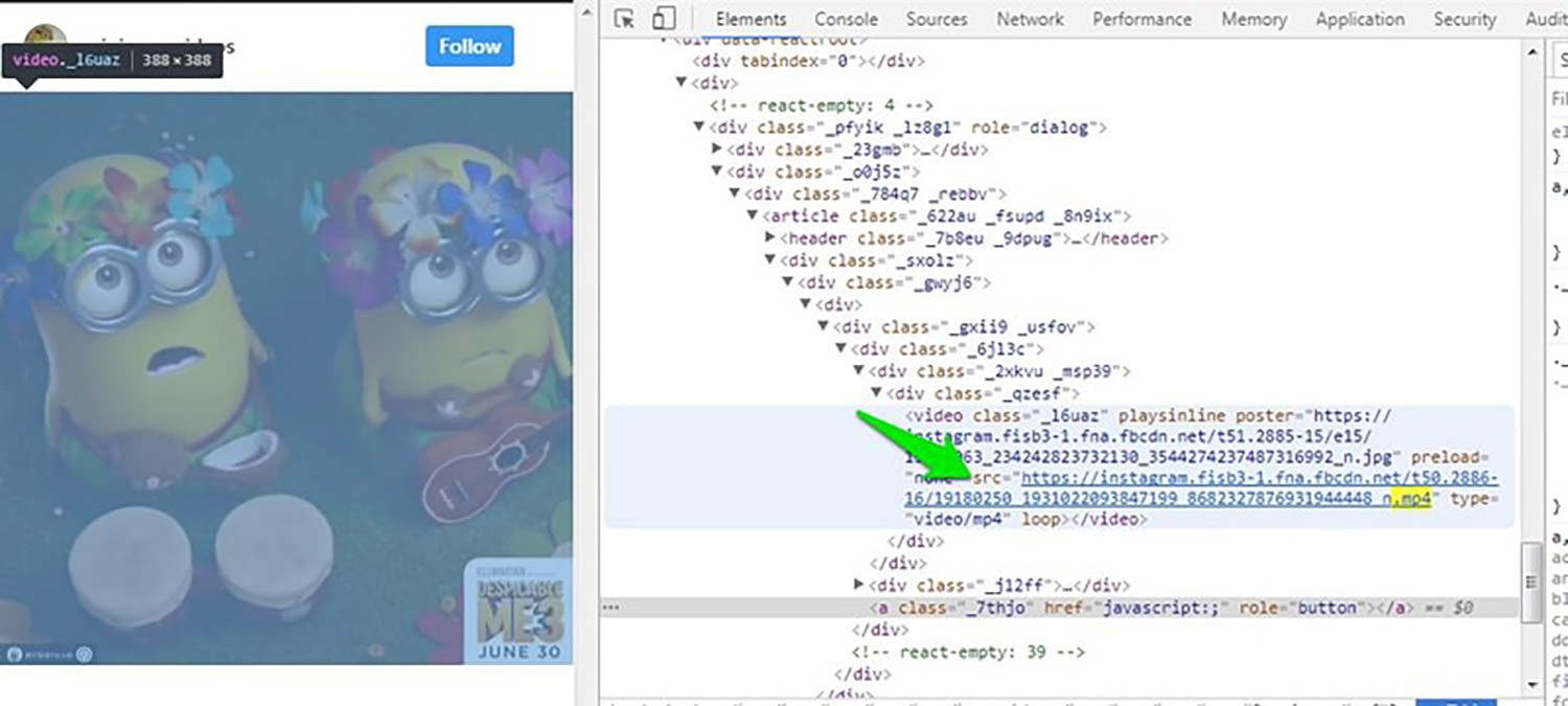 IG to MP4: Easy Way to Download Instagram Videos